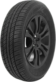 205/60R15 91HThunderer Mach I R201
All Season Passenger tire