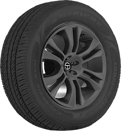 205/60R15 91HAmericus Touring Plus
All Season Passenger tire